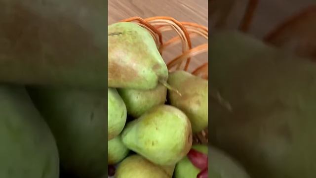Пішла до груш...а вони поспіли...Нарвала і думаю що смачненьке приготувать😊 смотреть онлайн