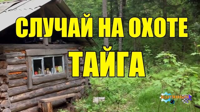 0991 - СЛУЧАЙ НА ОХОТЕ _ РАССКАЗ ОХОТНИКА _ ТАЙГА смотреть онлайн