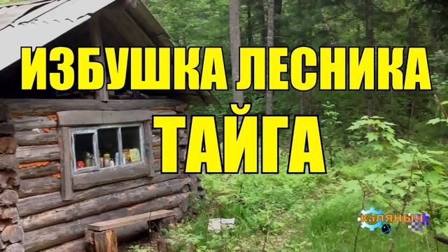 0229 - ИЗБУШКА ЛЕСНИКА _ ТРОГАТЕЛЬНАЯ ИСТОРИЯ смотреть онлайн