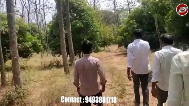 22 Acre Mango Garden For Sale In Telangana | Red Soil Garden | Compact Property Land | Property Tv смотреть онлайн