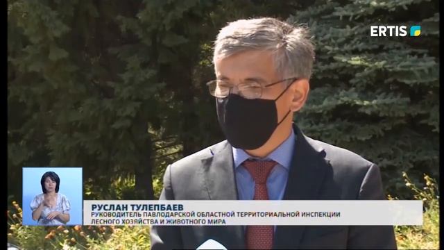 ЗАДЕРЖАН ЛЕСОКРАД смотреть онлайн
