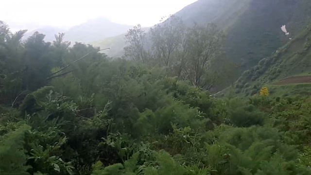 14 05 2022 г хоч или корчда биё бача