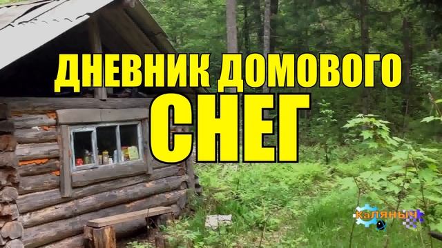 0466 - ДНЕВНИК ДОМОВОГО _ ДЕД ДОМОВОЙ В ТАЙГЕ ЗИМОЙ _ СКОРО НОВЫЙ ГОД _ СУДЬБА ЧЕЛОВЕКА