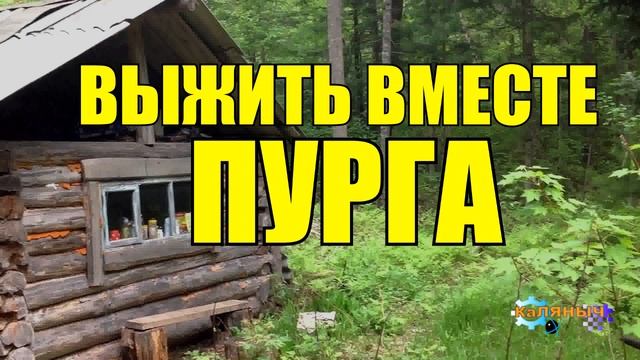 ВЫЖИТЬ ВМЕСТЕ _ ПУРГА _ НАРТЫ В УПРЯЖКЕ смотреть онлайн