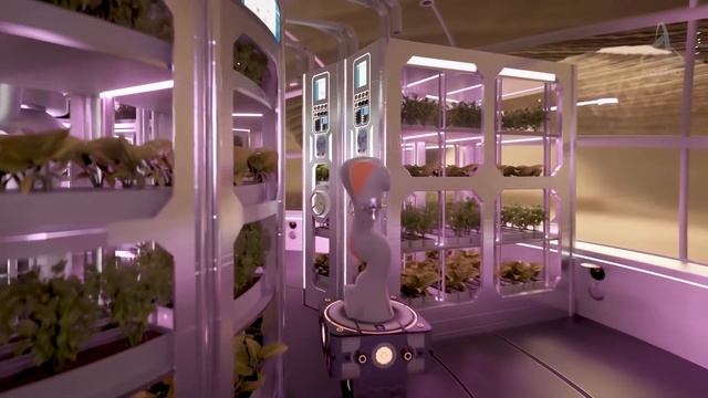 ИЛОН МАСК, ПУТЬ К УСПЕХУ