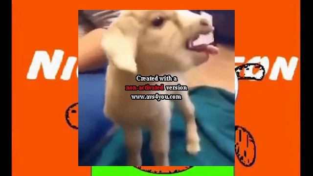 Goatlodeon Csupo смотреть онлайн