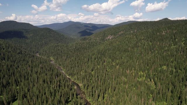 полет на копторе, природа. смотреть онлайн