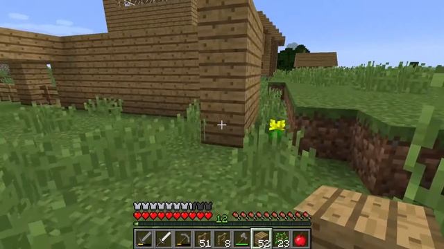 Minecraft 1.15.2 hovel/ kurnik cz1 смотреть онлайн