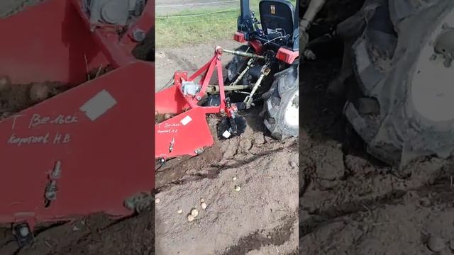 копка картошки копалкой starex mini 800 смотреть онлайн