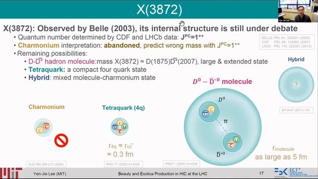 Yen-Jie Lee | Quark-Gluon Plasma Characterisation with Heavy Flavour Probes смотреть онлайн
