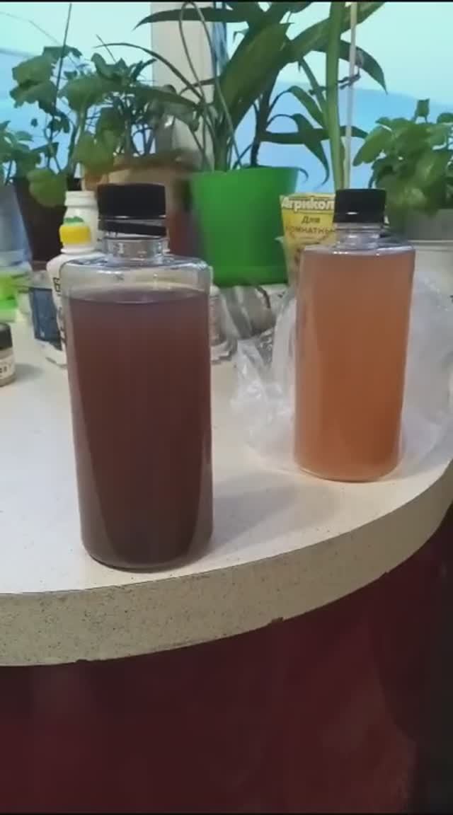 СИМБА. Смена окраски смотреть онлайн