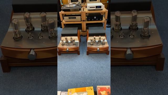 Unison Research Reference Power