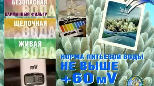 Коралловая вода Корал Майн Коралловый Клуб смотреть онлайн