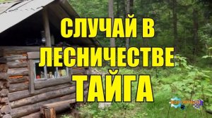 0967 - СЛУЧАЙ В ЛЕСУ _ ТАЙГА