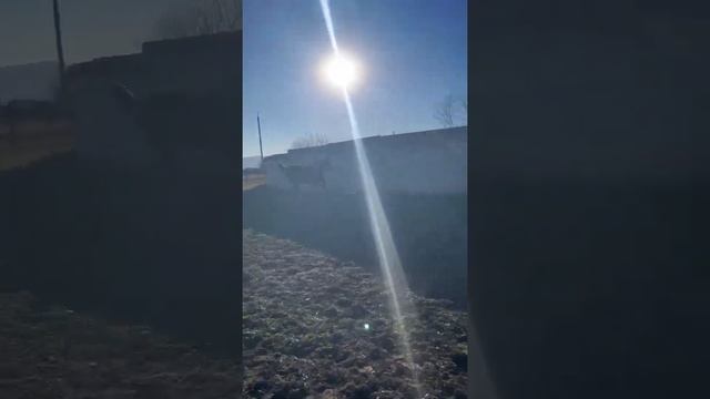 Лерхан смотреть онлайн