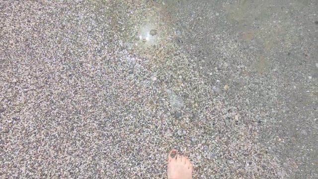 Семья на море. Шум моря. Звуки природы. Турция. Алания апрель месяц 2024 смотреть онлайн