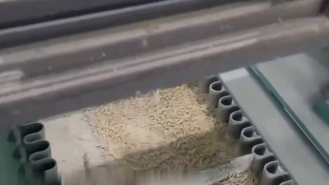 Линия пр-ва наполнителя для кошач.туалета из целлюлозы, крахмала, горохового волокна 1500кг/ч Китай смотреть онлайн