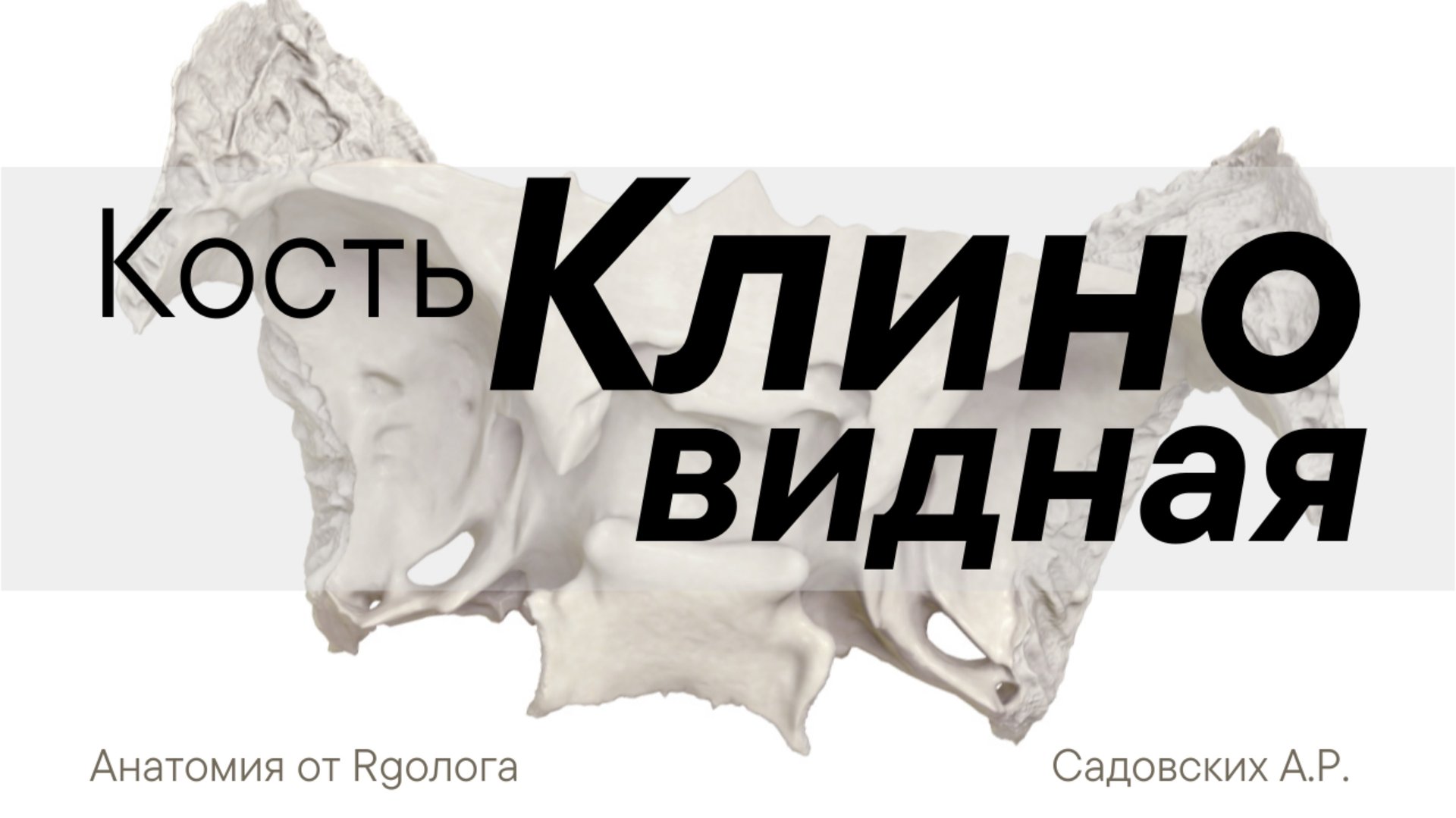 Клиновидная кость смотреть онлайн