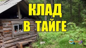 НАХОДКА ДЕДА _ КЛАДОИСКАТЕЛИ В ТАЙГЕ