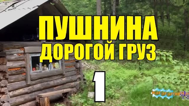 ПУШНИНА ВСЕ СЕРИИ СЕРИАЛ 2024 СПЛАВ ПО РЕКЕ ПУШНОЙ ПРОМЫСЕЛ ВЫЖИТЬ ЗИМОЙ ОХОТА РЫБАЛКА ДОМ в ЛЕСУ смотреть онлайн