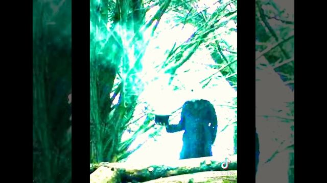 KUMPULAN JEDAG JEDUG SCP😈 смотреть онлайн