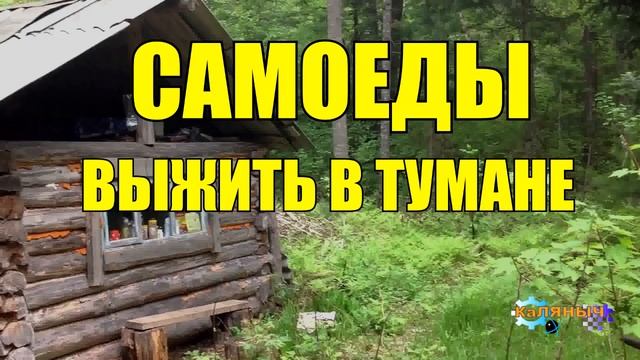 САМОЕДЫ _ ВЫЖИВАНИЕ В ТУМАНЕ _ ЖИЗНЬ В ТАЙГЕ смотреть онлайн