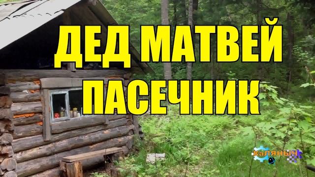 ДЕД 102 ГОДА В ТАЙГЕ _ ПАСЕКА МЕДВЕДЬ _ ЖЕНЬШЕНЬ _ ЖИЗНЬ В ЛЕСУ смотреть онлайн