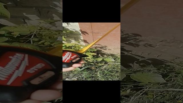 Рулетка 5м #milwaukee