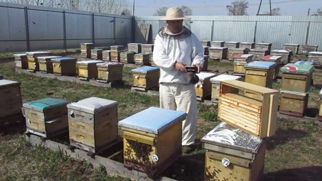 Вы не поверите! смотреть онлайн