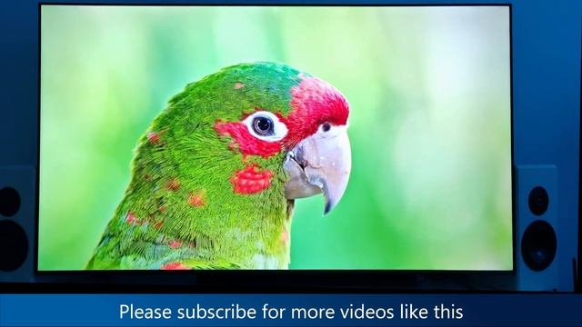 TCL C645 TV Video Test YouTube 4K HDR - Laggy? Slow? Clear? смотреть онлайн