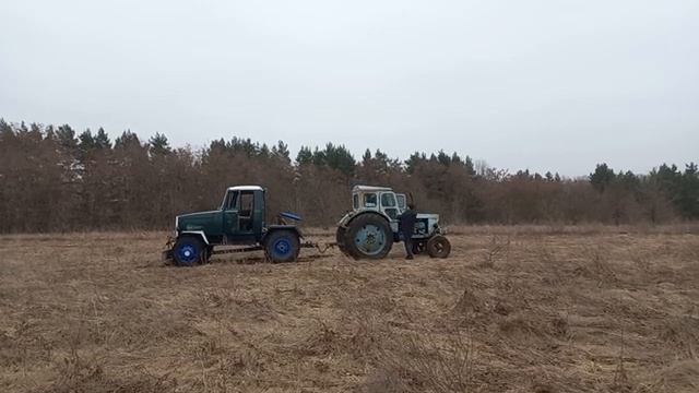 Бодались два Богатыря! mp4 смотреть онлайн