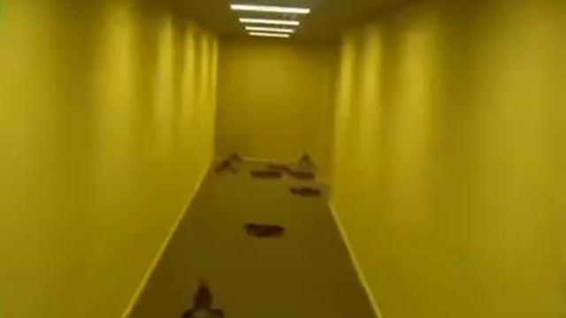 Крабы танцуют в бэкрумсе(2ч)