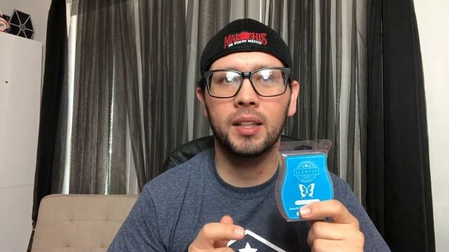 Scentsy Empties | August Part 1 смотреть онлайн