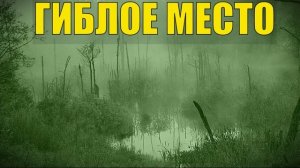 ДЕД 100 ЛЕТ В ТАЙГЕ ГИБЛОЕ МЕСТО НОЧНОЙ ВИЗИТ на БОЛОТО ТОПЬ РЫБАЛКА ЖИЗНЬ В ЛЕСУ ИЗБУШКА ЛЕС
