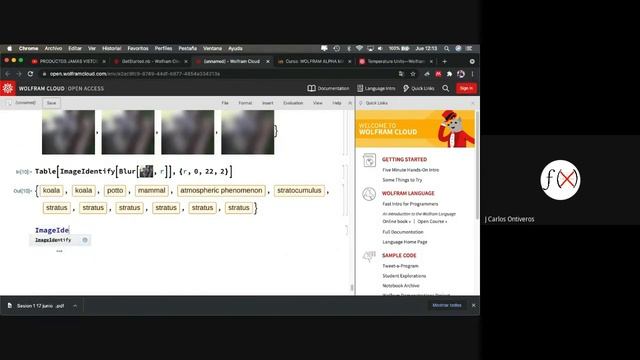 Curso Wolfram Cloud Módulo4 (Machine Learning - Imagen Y Entrenamiento De Un Clasificador)