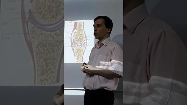 Хондропротектори для відновлення суглобів. Чому глюкозамін та хондроітин іноді "не працюють"? смотреть онлайн