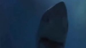 Jaws (1975): Cage Scene