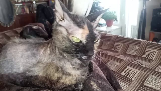 Мои детишки.mp4 смотреть онлайн