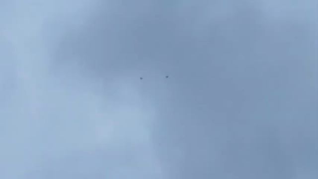 Голуби. Осень. 2021 +7(978)0085391 смотреть онлайн