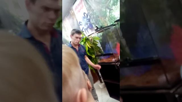 пауки смотреть онлайн