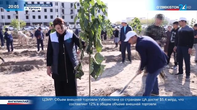 Реализация общенационального проекта «Яшил макон» в Хорезмской и Навоийской областях смотреть онлайн