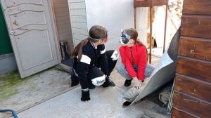 большие кошки квадробика сериал