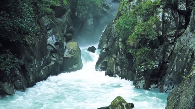 Собака спасла ВЫКИНУТОГО МЛАДЕНЕЦА матерью, найдя его в канаве. смотреть онлайн