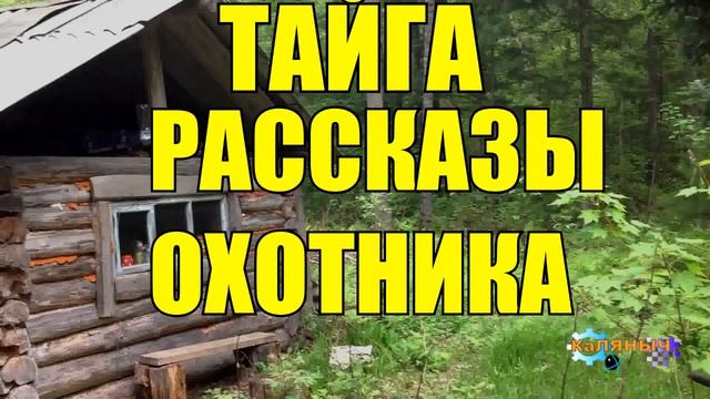 1064 - ТАЕЖНЫЕ ПРИКЛЮЧЕНИЯ _ Рассказы охотника смотреть онлайн