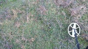 Intronik STF 12х9" 760 (7/60 kHz) поиск на советской мусорке