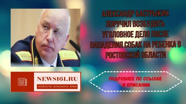 Александр Бастрыкин поручил возбудить уголовное дело после нападения собак на ребенка в Ростовской о смотреть онлайн