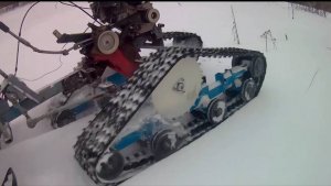 ДЛИННЫЕ ГУСЕНИЦЫ ДАЖЕ НИГДЕ НЕ БУКСАНУЛ