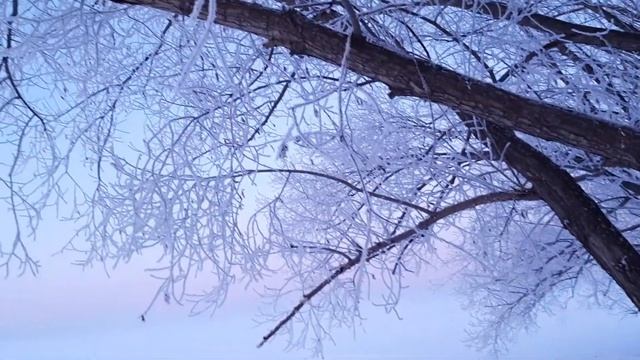 Екатеринбург 8.01.2020 г. смотреть онлайн
