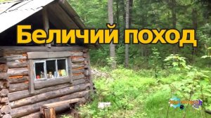 Беличий поход