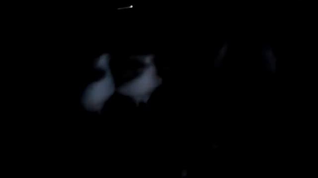 Первый пискун в голубятни Радость для начинающего голубевода смотреть онлайн
